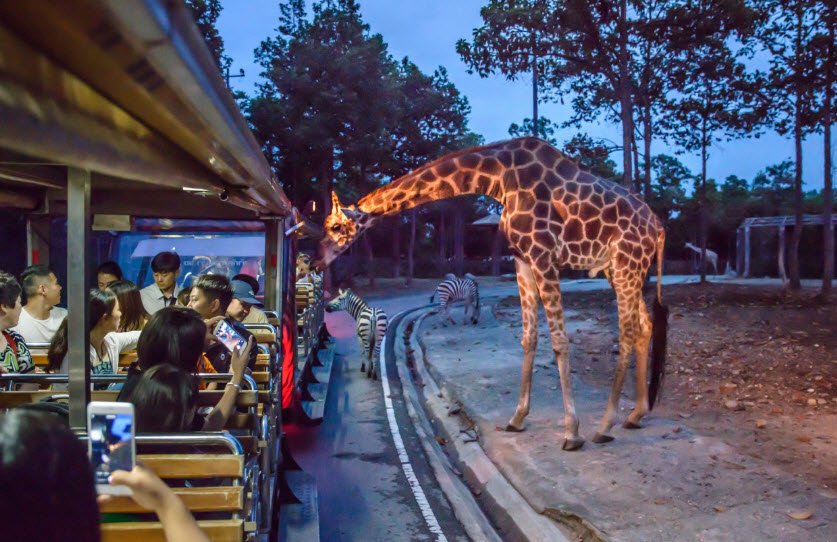 Chiang Mai Night Safari , Thailand